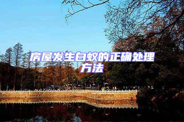 房屋發生白蟻的正確處理方法