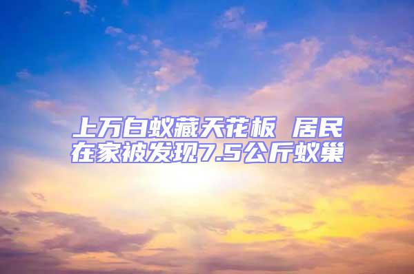 上萬白蟻藏天花板 居民在家被發(fā)現(xiàn)7.5公斤蟻巢