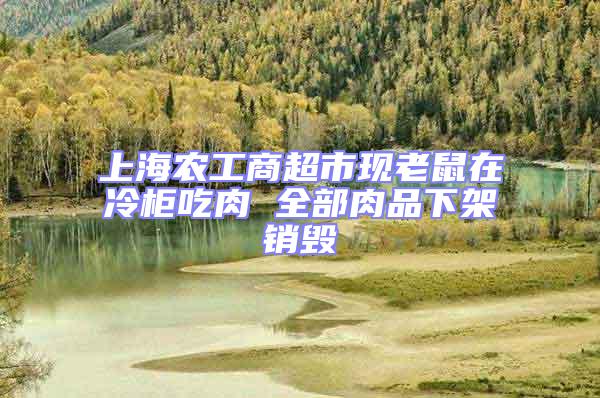 上海農工商超市現老鼠在冷柜吃肉 全部肉品下架銷毀