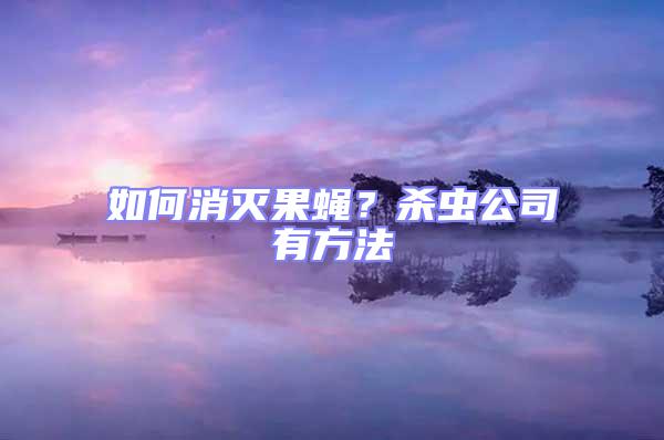 如何消滅果蠅？殺蟲公司有方法