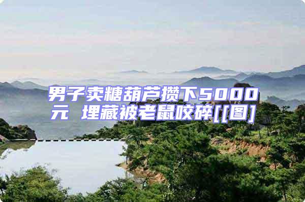 男子賣糖葫蘆攢下5000元 埋藏被老鼠咬碎[[圖]