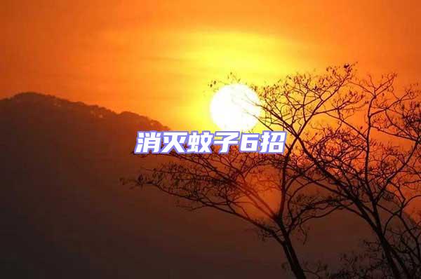 消滅蚊子6招