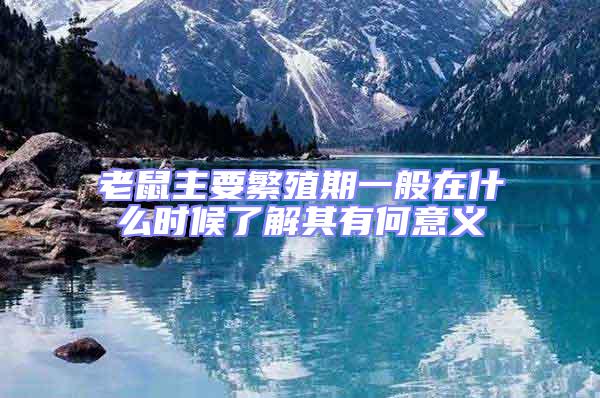 老鼠主要繁殖期一般在什么時候了解其有何意義