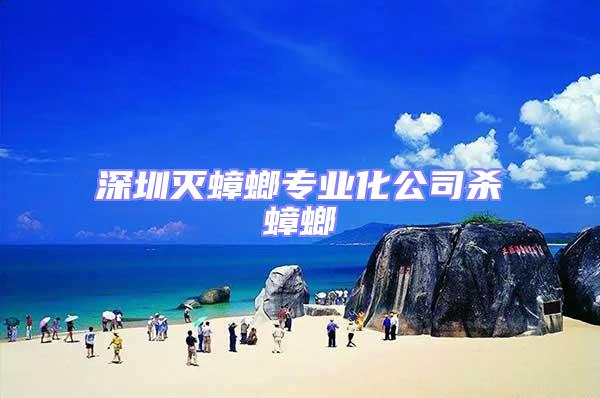 深圳滅蟑螂專業化公司殺蟑螂