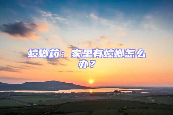 蟑螂藥：家里有蟑螂怎么辦？