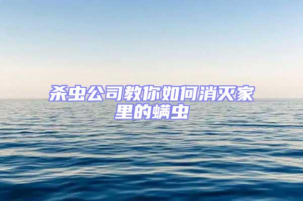 殺蟲公司教你如何消滅家里的螨蟲
