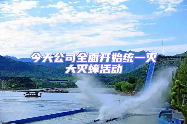 今天公司全面開始統一滅大滅蟑活動