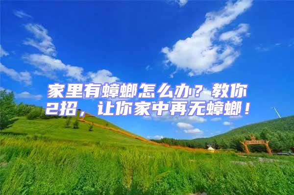家里有蟑螂怎么辦？教你2招，讓你家中再無(wú)蟑螂！