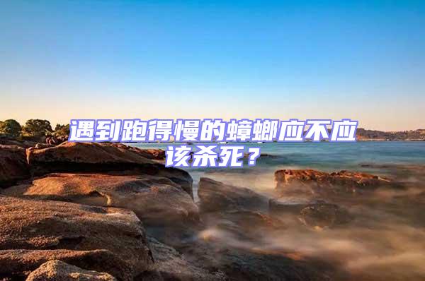 遇到跑得慢的蟑螂應(yīng)不應(yīng)該殺死？