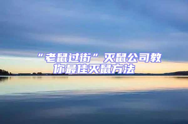 “老鼠過街”滅鼠公司教你最佳滅鼠方法