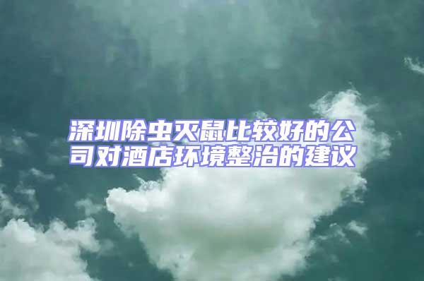 深圳除蟲滅鼠比較好的公司對酒店環境整治的建議