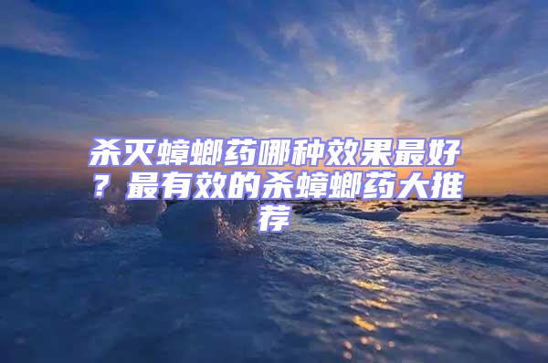 殺滅蟑螂藥哪種效果最好？最有效的殺蟑螂藥大推薦