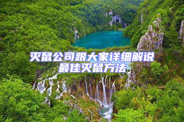 滅鼠公司跟大家詳細解說最佳滅鼠方法