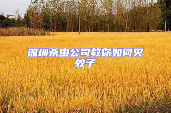 深圳殺蟲公司教你如何滅蚊子