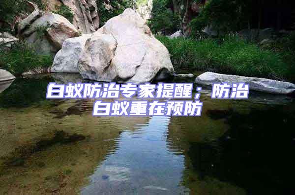 白蟻防治專家提醒；防治白蟻重在預防