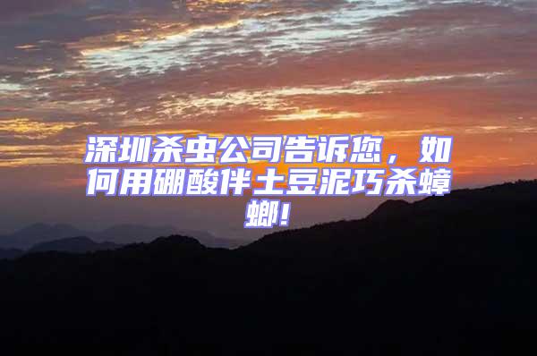 深圳殺蟲公司告訴您，如何用硼酸伴土豆泥巧殺蟑螂!