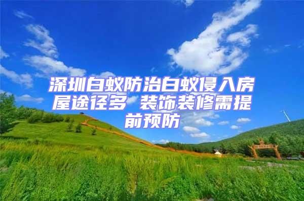深圳白蟻防治白蟻侵入房屋途徑多 裝飾裝修需提前預防