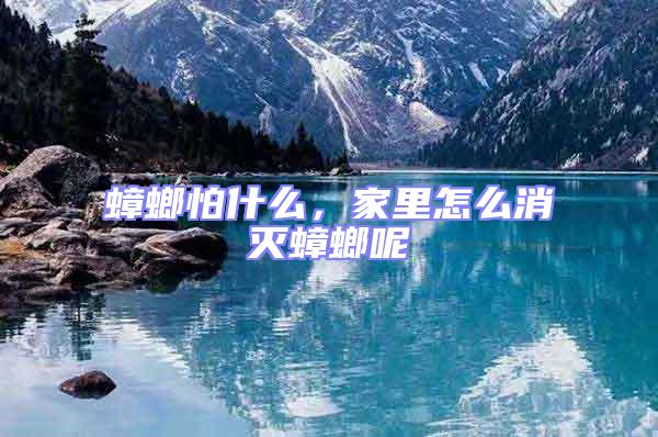蟑螂怕什么，家里怎么消滅蟑螂呢