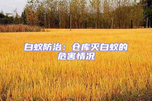 白蟻防治：倉庫滅白蟻的危害情況