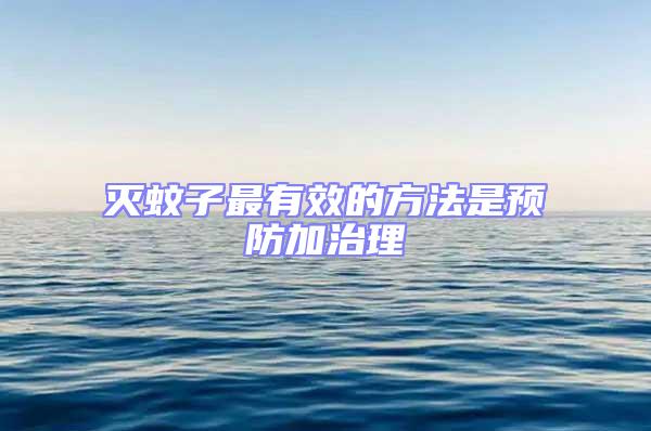 滅蚊子最有效的方法是預防加治理