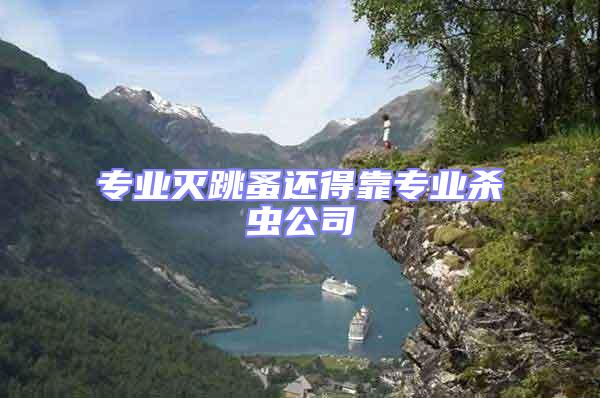 專業滅跳蚤還得靠專業殺蟲公司