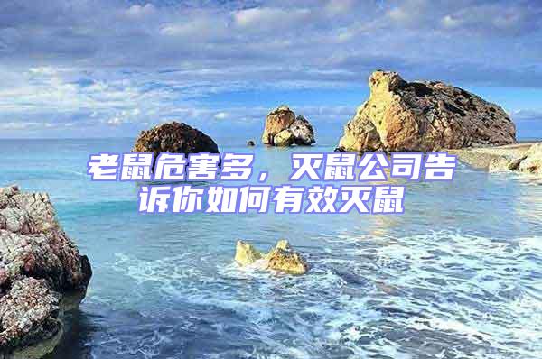 老鼠危害多，滅鼠公司告訴你如何有效滅鼠