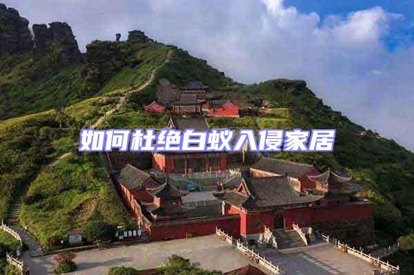 如何杜絕白蟻入侵家居
