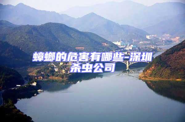 蟑螂的危害有哪些-深圳殺蟲公司
