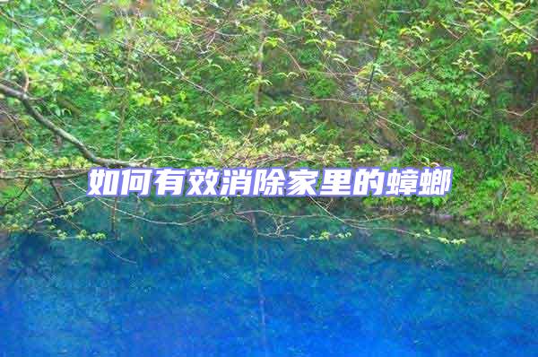 如何有效消除家里的蟑螂