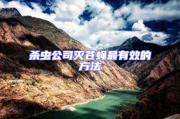 殺蟲(chóng)公司滅蒼蠅最有效的方法
