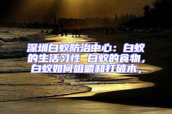 深圳白蟻防治中心：白蟻的生活習(xí)性 白蟻的食物，白蟻如何咀嚼和打破木，