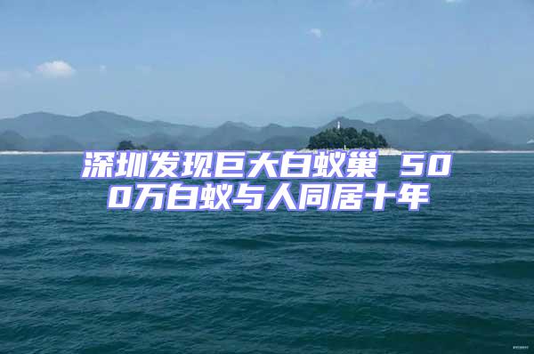 深圳發(fā)現(xiàn)巨大白蟻巢 500萬白蟻與人同居十年
