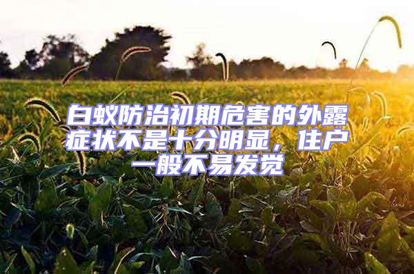 白蟻防治初期危害的外露癥狀不是十分明顯，住戶一般不易發(fā)覺