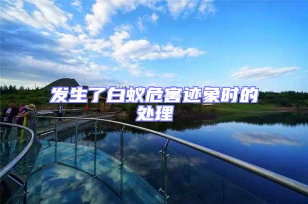 發生了白蟻危害跡象時的處理