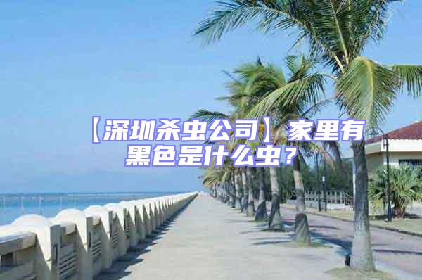 【深圳殺蟲公司】家里有黑色是什么蟲？