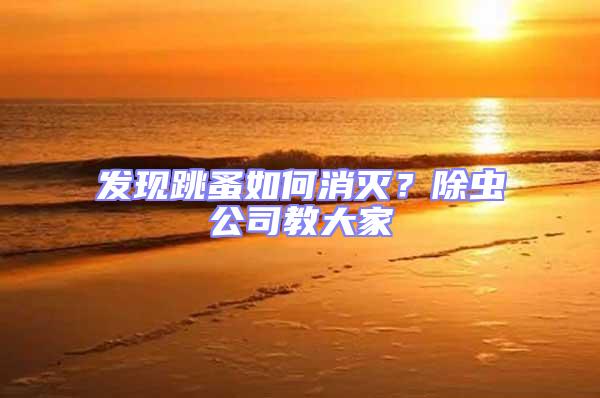 發(fā)現(xiàn)跳蚤如何消滅？除蟲公司教大家