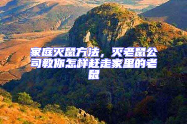 家庭滅鼠方法，滅老鼠公司教你怎樣趕走家里的老鼠