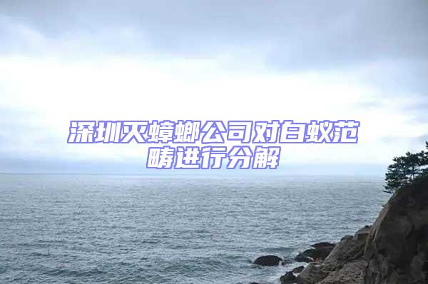 深圳滅蟑螂公司對白蟻范疇進行分解
