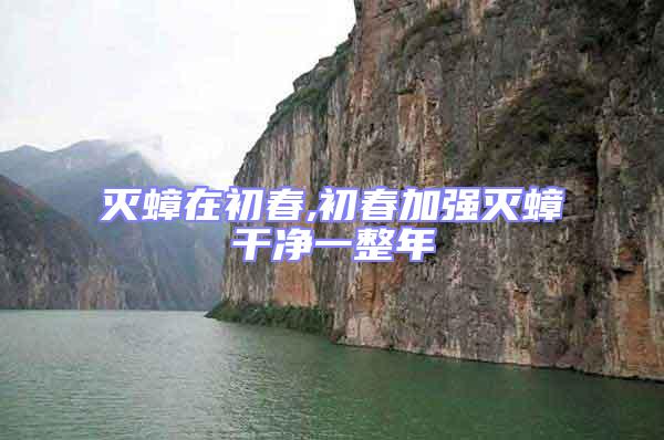 滅蟑在初春,初春加強滅蟑干凈一整年