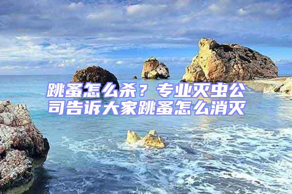 跳蚤怎么殺？專業滅蟲公司告訴大家跳蚤怎么消滅