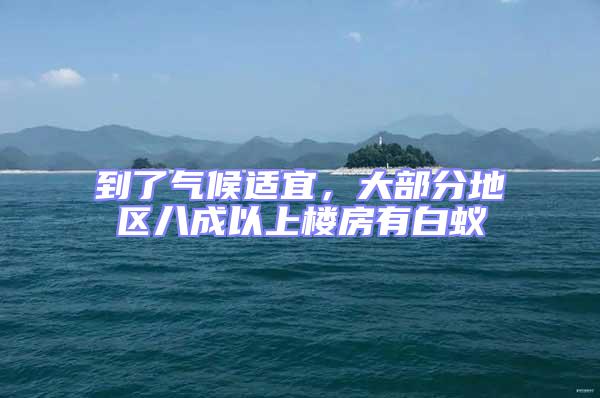 到了氣候適宜，大部分地區(qū)八成以上樓房有白蟻