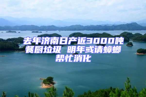 去年濟南日產近3000噸餐廚垃圾 明年或請蟑螂幫忙消化