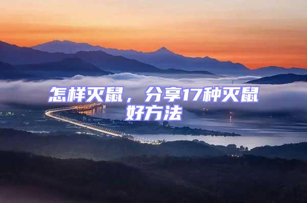 怎樣滅鼠，分享17種滅鼠好方法