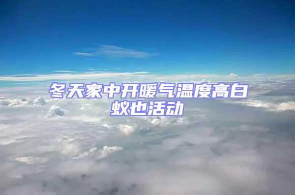 冬天家中開暖氣溫度高白蟻也活動