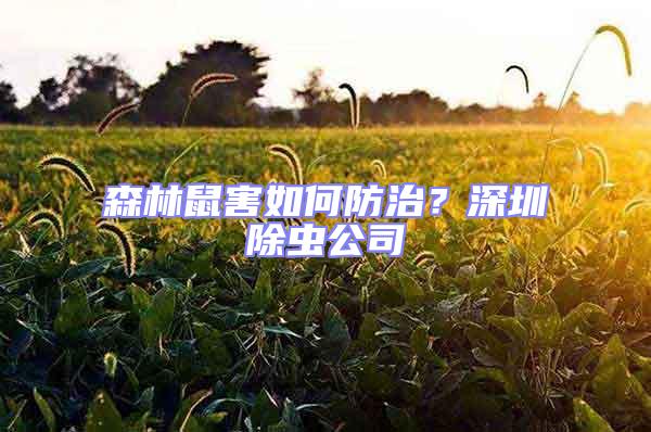 森林鼠害如何防治？深圳除蟲公司