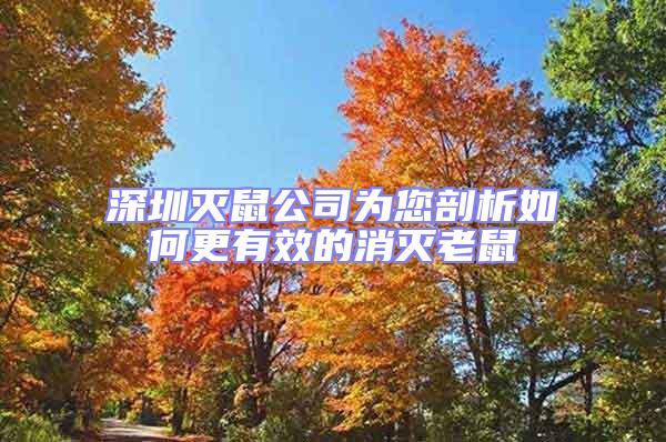 深圳滅鼠公司為您剖析如何更有效的消滅老鼠