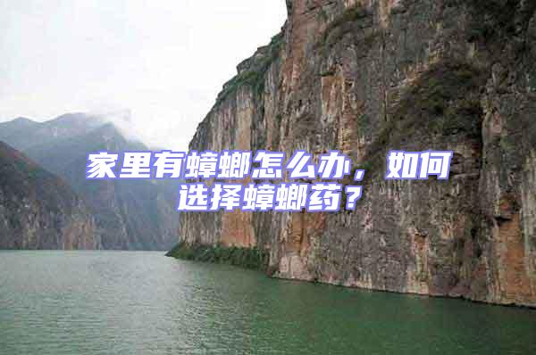 家里有蟑螂怎么辦，如何選擇蟑螂藥？