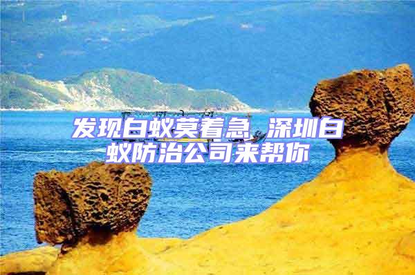 發(fā)現(xiàn)白蟻莫著急 深圳白蟻防治公司來幫你