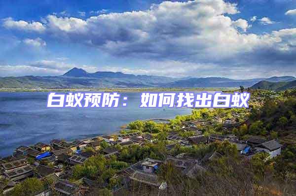 白蟻預防：如何找出白蟻