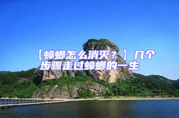 【蟑螂怎么消滅？】幾個步驟走過蟑螂的一生